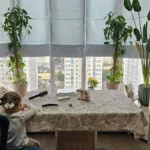 Ткань Пальмы бежевый отзыв 3