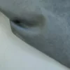 Софтлес серый ткань